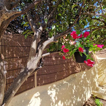 La Maddalena Holiday Home Extérieur photo